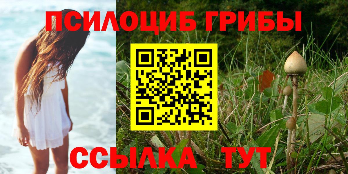 Псилоцибиновые грибы Magic Shrooms  Вход с VPN  Ессентуки 
